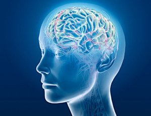 Thumbnail image for Meditation and the Brain